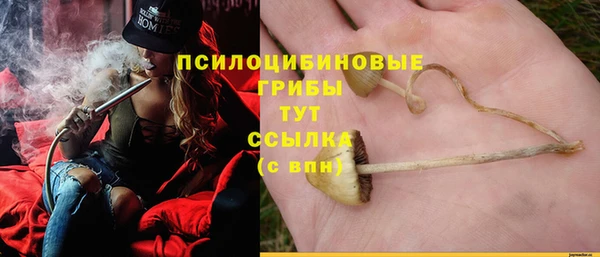 бутират Магас