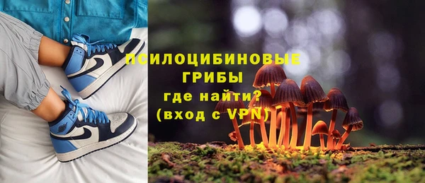 прущие грибы Березники